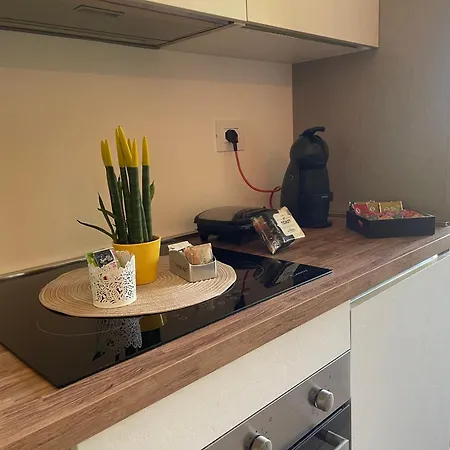 شقة فندقية Du Parc &